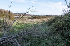 WILL LEHAUNSTOWN LANE SURVIVE [I AM NOT FULLY CONVINCED]-259309-1