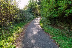 WILL LEHAUNSTOWN LANE SURVIVE [I AM NOT FULLY CONVINCED]-259311-1