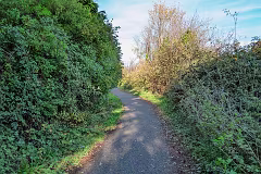 WILL LEHAUNSTOWN LANE SURVIVE [I AM NOT FULLY CONVINCED]-259312-1