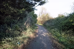 WILL LEHAUNSTOWN LANE SURVIVE [I AM NOT FULLY CONVINCED]-259313-1