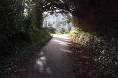 WILL LEHAUNSTOWN LANE SURVIVE [I AM NOT FULLY CONVINCED]-259314-1