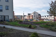 WILL LEHAUNSTOWN LANE SURVIVE [I AM NOT FULLY CONVINCED]-259316-1