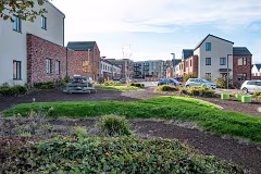 WILL LEHAUNSTOWN LANE SURVIVE [I AM NOT FULLY CONVINCED]-259317-1