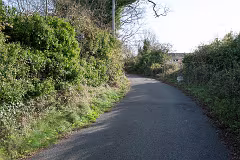 WILL LEHAUNSTOWN LANE SURVIVE [I AM NOT FULLY CONVINCED]-259319-1