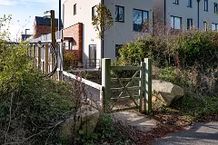 WILL LEHAUNSTOWN LANE SURVIVE [I AM NOT FULLY CONVINCED]-259320-1