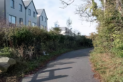 WILL LEHAUNSTOWN LANE SURVIVE [I AM NOT FULLY CONVINCED]-259321-1