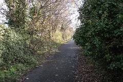 WILL LEHAUNSTOWN LANE SURVIVE [I AM NOT FULLY CONVINCED]-259322-1