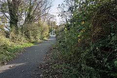 WILL LEHAUNSTOWN LANE SURVIVE [I AM NOT FULLY CONVINCED]-259324-1