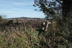 WILL LEHAUNSTOWN LANE SURVIVE [I AM NOT FULLY CONVINCED]-259325-1