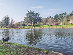 THE LIFFEY RIVER WALK IS A JOURNEY THROUGH LONGMEADOWS [ON THE SOUTHBANK OF THE RIVER]-266793
