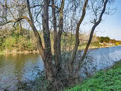 THE LIFFEY RIVER WALK IS A JOURNEY THROUGH LONGMEADOWS [ON THE SOUTHBANK OF THE RIVER]-266806