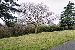MILL LANE
