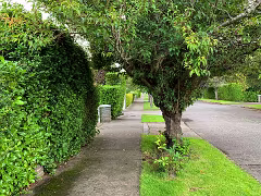 ROEBUCK AREA