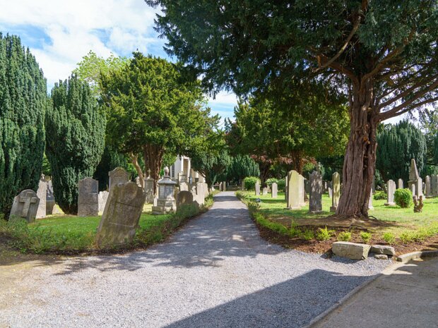 GOLDENBRIDGE CEMETERY In May 2017, this historic Dublin cemetery reopened its gates, offering new family burial plots for the first time in...