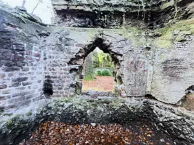A DERELICT SHELL HOUSE IN BUSHY PARK [IT IS NOT A FOLLY]-247646-1
