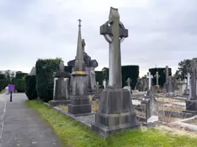 A SPONTANEOUS VISIT TO DEANSGRANGE CEMETERY [SECOND SESSION - iPHONE IMAGES]-247086-1