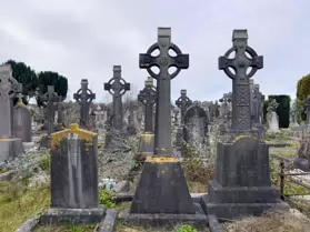 A SPONTANEOUS VISIT TO DEANSGRANGE CEMETERY [SECOND SESSION - iPHONE IMAGES]-247089-1