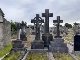 A SPONTANEOUS VISIT TO DEANSGRANGE CEMETERY [SECOND SESSION - iPHONE IMAGES]-247092-1