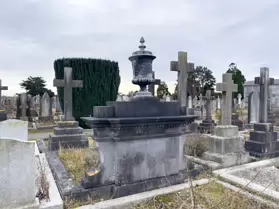 A SPONTANEOUS VISIT TO DEANSGRANGE CEMETERY [SECOND SESSION - iPHONE IMAGES]-247101-1