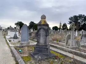 A SPONTANEOUS VISIT TO DEANSGRANGE CEMETERY [SECOND SESSION - iPHONE IMAGES]-247110-1