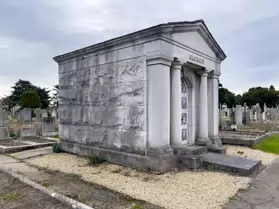 A SPONTANEOUS VISIT TO DEANSGRANGE CEMETERY [SECOND SESSION - iPHONE IMAGES]-247111-1