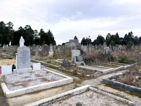 A SPONTANEOUS VISIT TO DEANSGRANGE CEMETERY [SECOND SESSION - iPHONE IMAGES]-247113-1