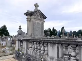 A SPONTANEOUS VISIT TO DEANSGRANGE CEMETERY [SECOND SESSION - iPHONE IMAGES]-247116-1