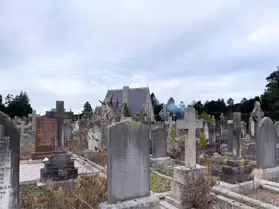 A SPONTANEOUS VISIT TO DEANSGRANGE CEMETERY [SECOND SESSION - iPHONE IMAGES]-247128-1