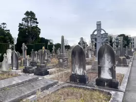 A SPONTANEOUS VISIT TO DEANSGRANGE CEMETERY [SECOND SESSION - iPHONE IMAGES]-247137-1
