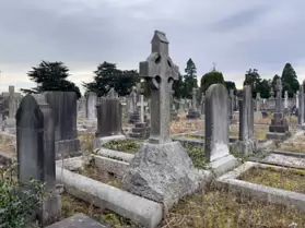 A SPONTANEOUS VISIT TO DEANSGRANGE CEMETERY [SECOND SESSION - iPHONE IMAGES]-247138-1