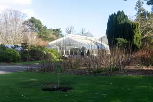 A QUICK VISIT TO THE BOTANIC GARDENS [GLASNEVIN 22 FEBRUARY 2025]-247964-1