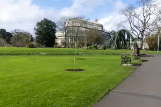 A QUICK VISIT TO THE BOTANIC GARDENS [GLASNEVIN 22 FEBRUARY 2025]-247980-1