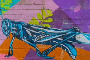 HERBERT HABITAT [STREET ART AT THE HIVE IN HERBERT PARK]-247360-1