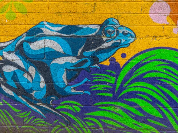 STREET IN HERBERT PARK "Herbert Habitat," a vibrant piece of street art, graces the walls of The Hive in Herbert Park, Dublin 4. Commissioned...