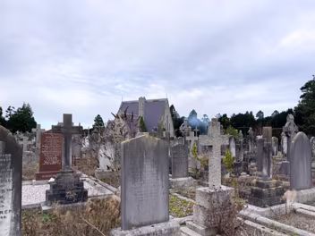 DEANSGRANGE CEMTERY I hadn't planned to visit Deansgrange Cemetery, so the lens I had with me on the FX30 wasn't ideal. The resulting images...