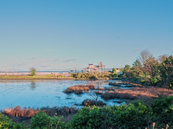 NATURE RESERVE