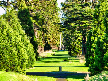 PHOENIX FOLLY The Phoenix Folly draws inspiration from that 1747 monument in Phoenix Park, commissioned by the 4th Earl of...
