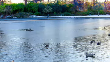 THE GROUND WAS COVERED IN SNOW WHEN I VISITED ST STEPHEN'S GREEN IN NOVEMBER 27 2010 [LEGACY PHOTO COLLECTIONS]-244844-1