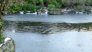 THE GROUND WAS COVERED IN SNOW WHEN I VISITED ST STEPHEN'S GREEN IN NOVEMBER 27 2010 [LEGACY PHOTO COLLECTIONS]-244852-1