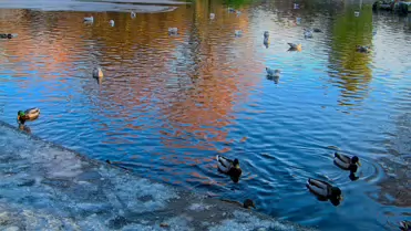 THE GROUND WAS COVERED IN SNOW WHEN I VISITED ST STEPHEN'S GREEN IN NOVEMBER 27 2010 [LEGACY PHOTO COLLECTIONS]-244854-1