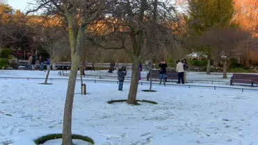 THE GROUND WAS COVERED IN SNOW WHEN I VISITED ST STEPHEN'S GREEN IN NOVEMBER 27 2010 [LEGACY PHOTO COLLECTIONS]-244895-1