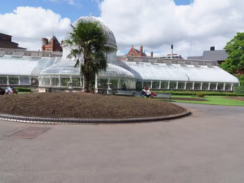 A VERY OLD GLASSHOUSE