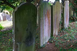 MY FIRST VISIT TO GOLDENBRIDGE CEMETERY [MAY 2017]-237476-1