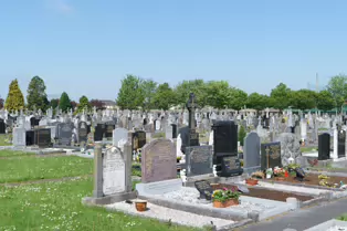ST KIERAN'S CEMETERY HEBRON ROAD IN KILKENNY [2017 LEGACY PHOTO COLLECTION]-245448-1