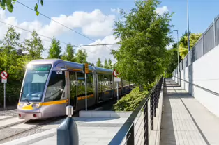 CABRA TRAM STOP [AND MOUNT BERNARD PUBLIC PARK]-244043-1