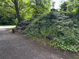 IVEAGH GARDENS [ONCE PRIVATELY OWNED BUT NOW OPEN TO THE PUBLIC]-244024-1