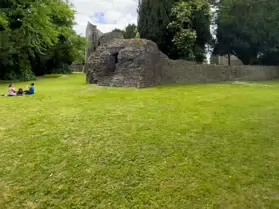 MAYNOOTH CASTLE [I WAS NOT ALLOWED TO USE MY CAMERA BUT MY iPHONE WAS OK]-243876-1