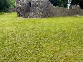MAYNOOTH CASTLE [I WAS NOT ALLOWED TO USE MY CAMERA BUT MY iPHONE WAS OK]-243877-1