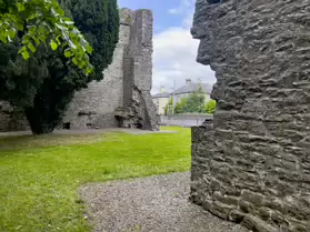MAYNOOTH CASTLE [I WAS NOT ALLOWED TO USE MY CAMERA BUT MY iPHONE WAS OK]-243886-1