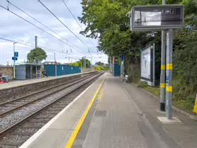 DALKEY A SOUTH DUBLIN VILLAGE [IS IT BETTER THAN MALAHIDE]-243968-1